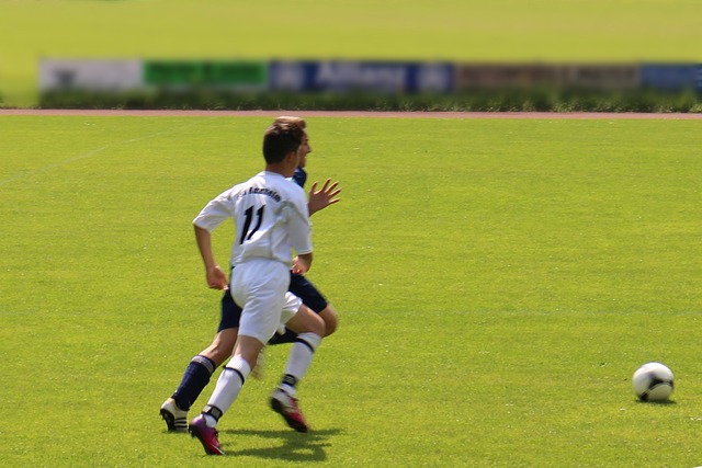 录被终结 录被终结