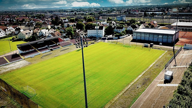 在去年活动 在去年活动