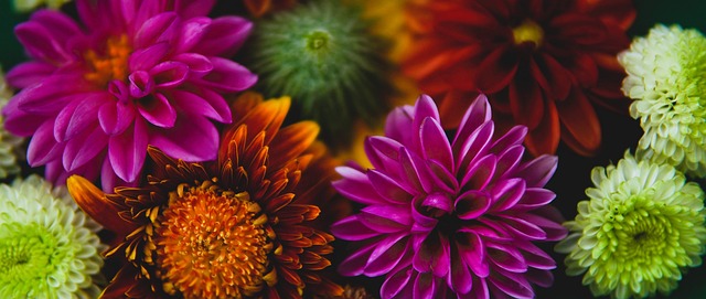 体战术调整 体战术调整