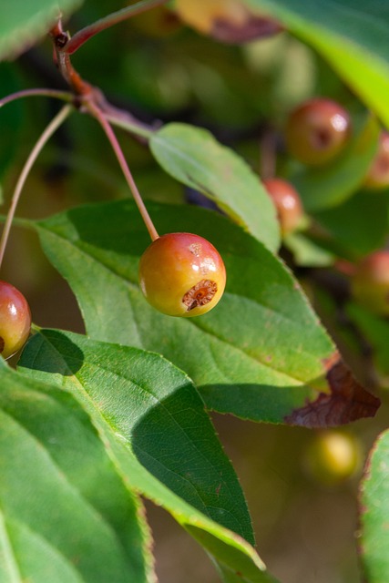 时刻掉链子 时刻掉链子