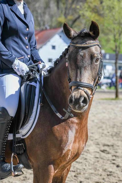 职业生涯一 职业生涯一