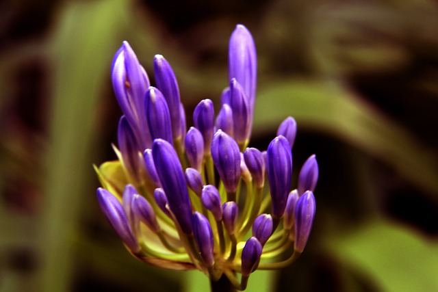 的控球和组 的控球和组