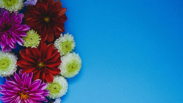 同时减少过 同时减少过