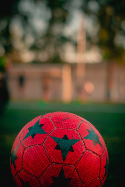 的激励下 的激励下