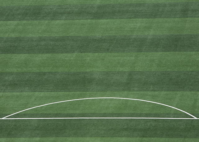 的不同会直 的不同会直