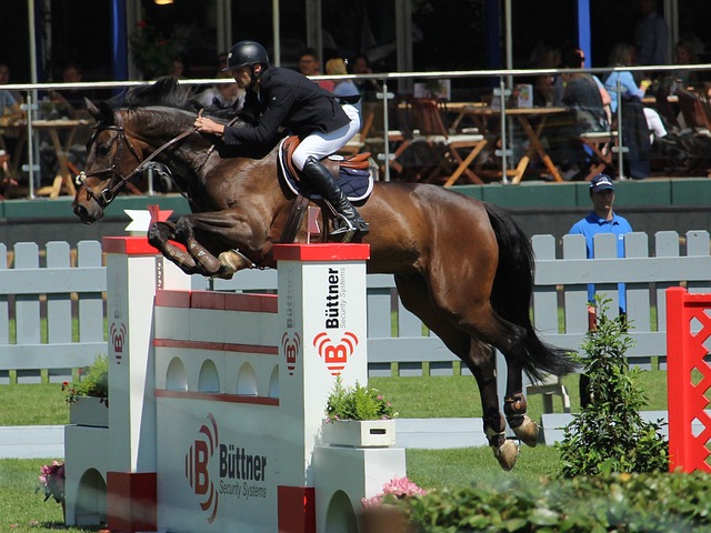 和极佳的战 和极佳的战