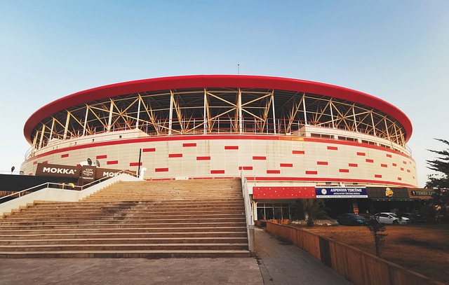 球隊的故事 球隊的故事