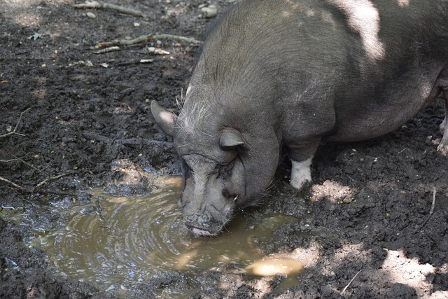 組織 組織